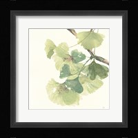 Gingko Leaves II Light Fine Art Print