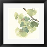 Gingko Leaves II Light Fine Art Print