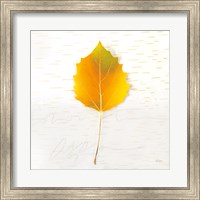 Autumn Colors III Fine Art Print