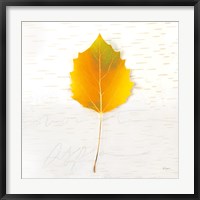 Autumn Colors III Fine Art Print