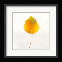 Autumn Colors III Fine Art Print