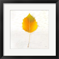 Autumn Colors III Framed Print
