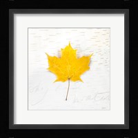 Autumn Colors II Fine Art Print