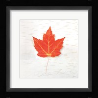 Autumn Colors I Fine Art Print
