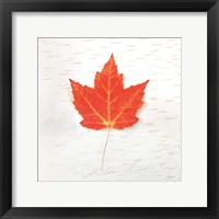 Autumn Colors I Framed Print