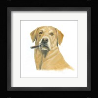 The Boys I Framed Print