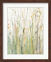 Spring Grasses I Crop Fine Art Print