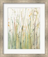 Spring Grasses I Crop Fine Art Print