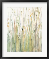 Spring Grasses I Crop Framed Print