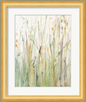 Spring Grasses I Crop Fine Art Print