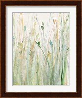 Spring Grasses II Crop Fine Art Print