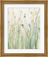 Spring Grasses II Crop Fine Art Print