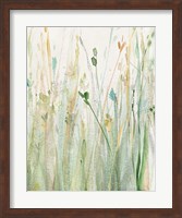 Spring Grasses II Crop Fine Art Print