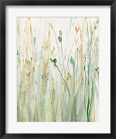 Spring Grasses II Crop Framed Print