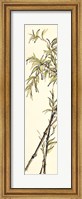 Summer Bamboo I Fine Art Print