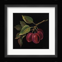 Prune no Words Framed Print
