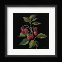 Framboise no Words Framed Print