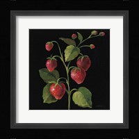 Fraise no Words Framed Print