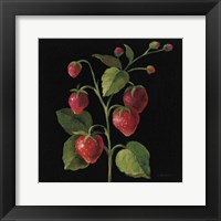 Fraise no Words Fine Art Print