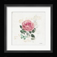 French Romance IV Framed Print