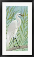 Egret by the Shore I Fine Art Print