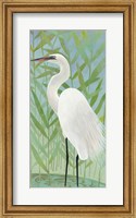 Egret by the Shore II Fine Art Print