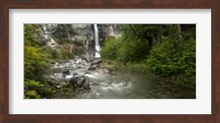 Forest Waterfall, Patagonia, Argentina Fine Art Print