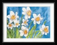 Narcisi Fine Art Print