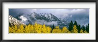 Mount Saint John, Grand Teton National Park, Wyoming Fine Art Print