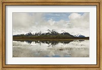 Snowcapped Chugach Mountains in Copper River Delta, Chugach National Forest, Alaska Fine Art Print