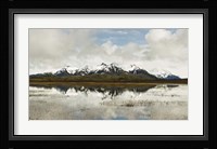 Snowcapped Chugach Mountains in Copper River Delta, Chugach National Forest, Alaska Fine Art Print