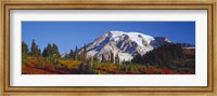 Mt. Rainier and Fall Color, WA Fine Art Print