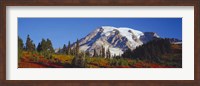 Mt. Rainier and Fall Color, WA Fine Art Print