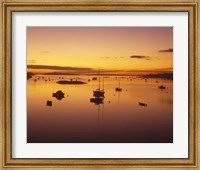 Southwest Harbor Before Sunrise, Mt. Desert Island, Maine Fine Art Print
