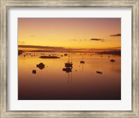 Southwest Harbor Before Sunrise, Mt. Desert Island, Maine Fine Art Print