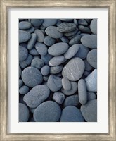 Beach Rocks on Rialto Beach, Olympic National Park, WA Fine Art Print