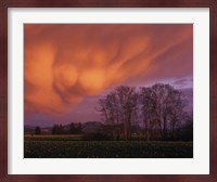 Clouds in the Evening Light, Skagit Valley, Washington Fine Art Print