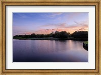 Sunset Over Golf Course in Sarasota, Florida Fine Art Print