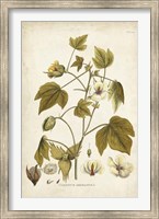 Elegant Botanical I Fine Art Print