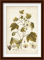 Elegant Botanical I Fine Art Print