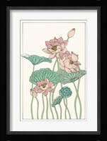 Botanical Gloriosa Lotus I Fine Art Print