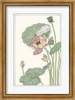 Botanical Gloriosa Lotus II Fine Art Print