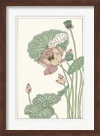 Botanical Gloriosa Lotus II Fine Art Print