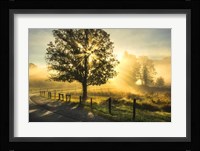 Wake Up Call Fine Art Print