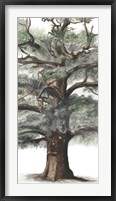 Oak Tree Composition I Fine Art Print