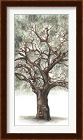 Oak Tree Composition II Fine Art Print