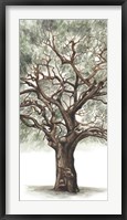 Oak Tree Composition II Fine Art Print