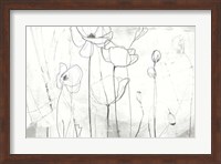 Poppy Sketches I Fine Art Print