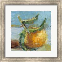 Impressionist Fruit Study III Fine Art Print