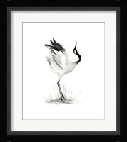 Japanese Cranes I Framed Print